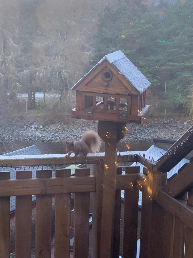 Beautiful 2 Bedroom Lodge With Stunning Views Blair Atholl Bagian luar foto